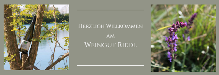 © Riedl © Riedl