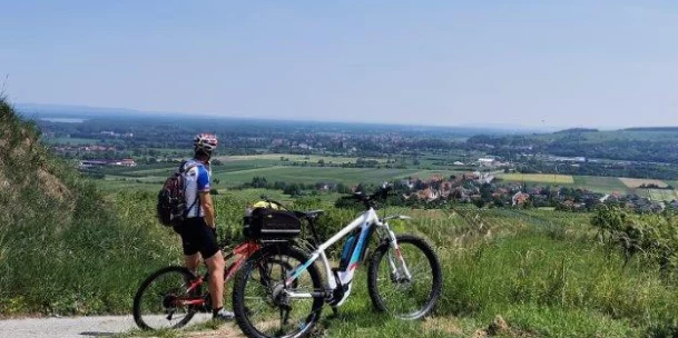 © Weinstraße & Tourismus Traisental-Donau © Weinstraße & Tourismus Traisental-Donau